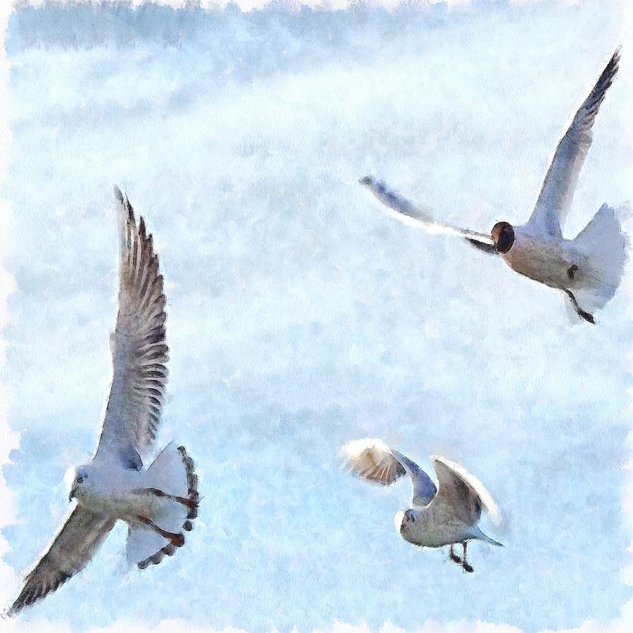 900x900 Three Seagulls Watercolor Painting By Taiche Acrylic Art