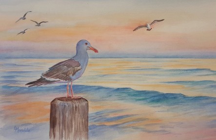 443x288 Watercolor Seagull Main Avenue Galleria Amp School Of Art