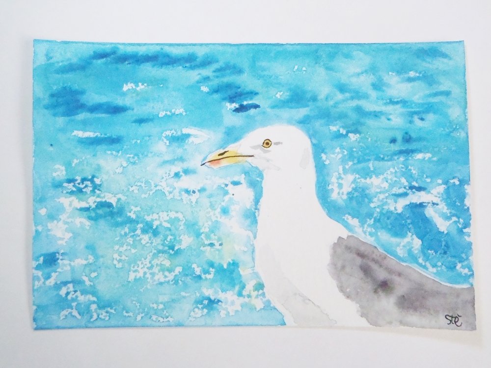 1000x750 Seagull Portrait Watercolor Sea Blue White Yacht Ooak Art