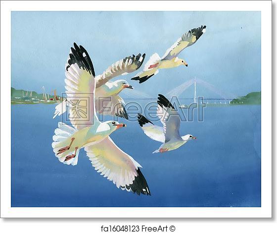 560x470 Free Art Print Of Watercolor Seagulls. Original Art, Watercolor