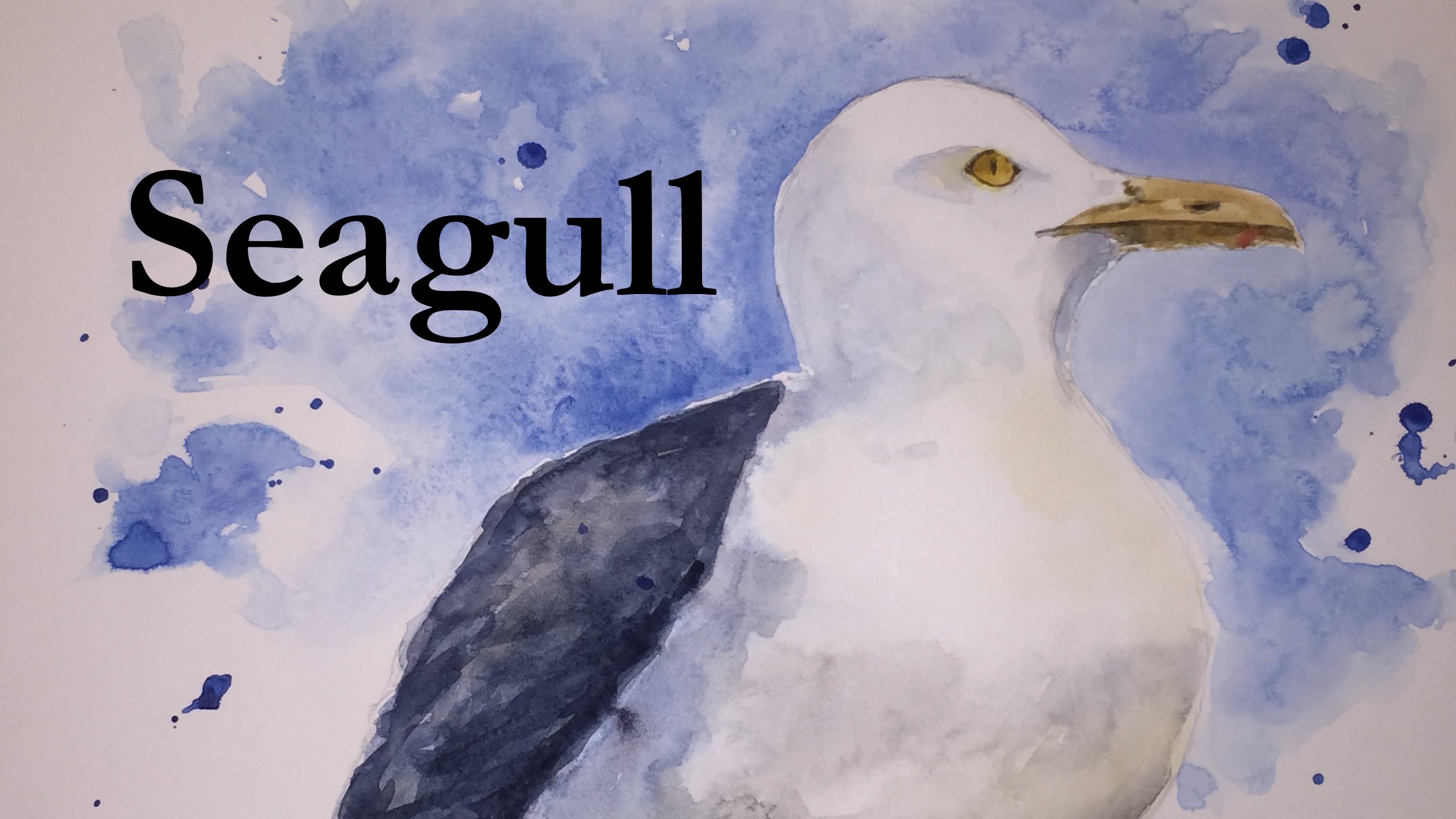 2561x1440 How To Paint A Seagull In Watercolour Watercolor Bird Shore Sea