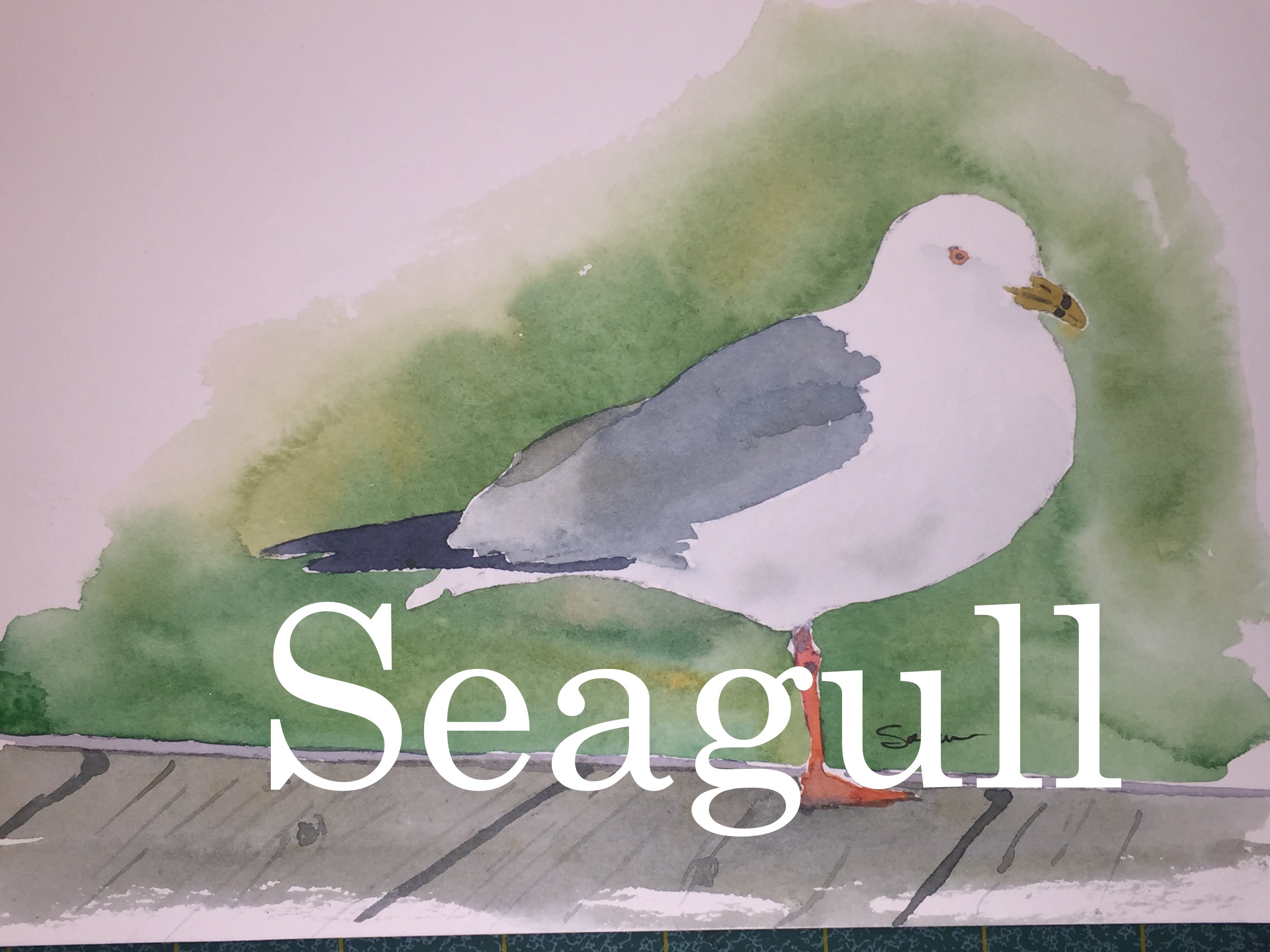 3264x2448 How To Paint A Seagull In Watercolour Watercolor Tutorial Dock