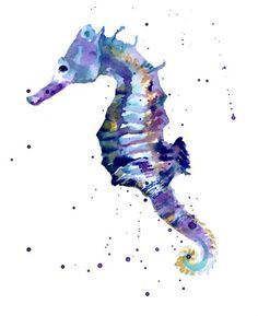 236x289 120 Best Seashell Amp Seahorse Watercolors Images In