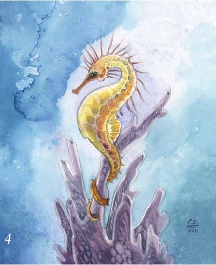 434x534 Learn Watercolor Techniques For Seahorse Painting