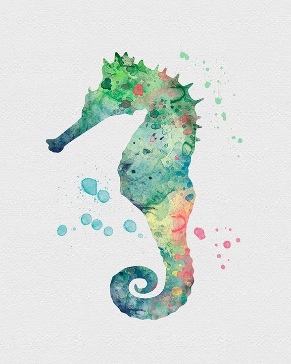 576x720 Seahorse Watercolors Watercolor Art, Seahorses And