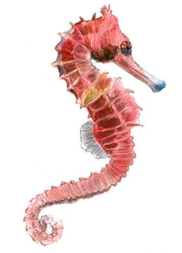 360x500 Seahorse Watercolor Painting Art Print 8x10