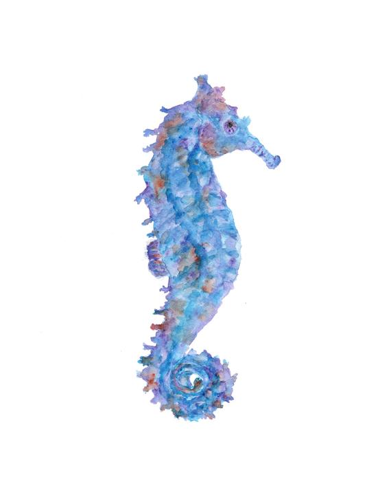 570x713 Beach Art Seahorse Print Watercolor Seahorse Watercolor Etsy
