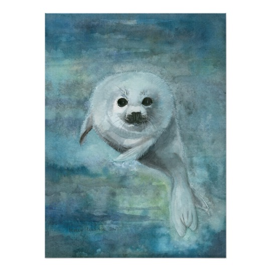 540x540 Harp Seal Watercolor Art Poster