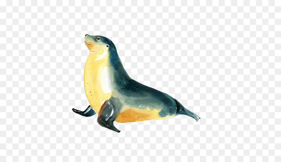 900x520 Sea Lion Earless Seal Creative Watercolor Watercolor Painting