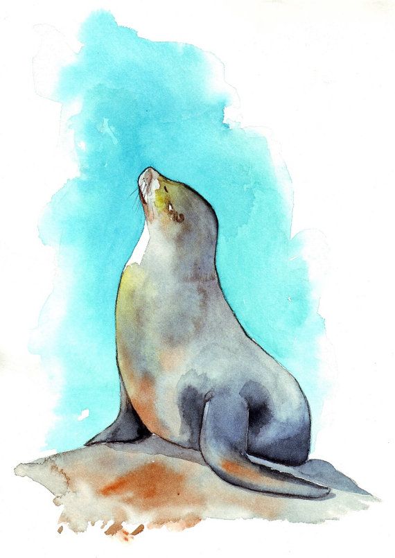 570x805 Seal Painting Animal Print Of Watercolor Painting By Splodgepodge