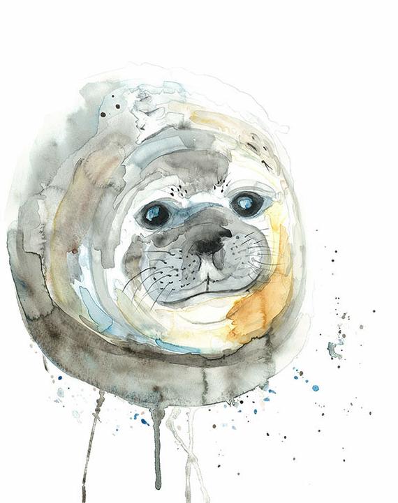 570x721 Seal Watercolour Print Elephant Seal Pup A4 Or 8 X 10 Etsy