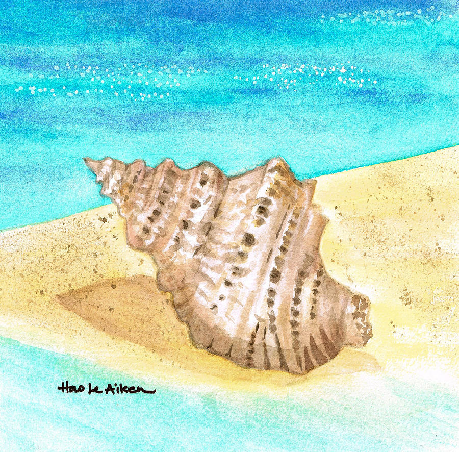 900x886 Seashell On The Seashore