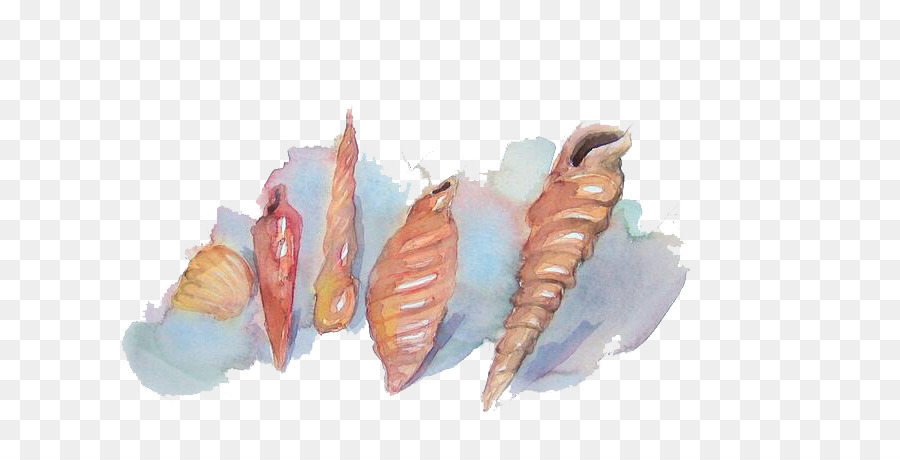 900x460 Seashell Watercolor Painting