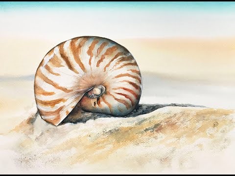 480x360 Seashell In Watercolors Painting Tutorial