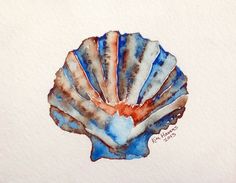 236x183 35 Best Watercolor Sea Shells Images Conchas De Mar
