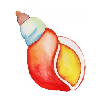 360x360 Watercolor Seashell Png Images Vectors And Psd Files Free
