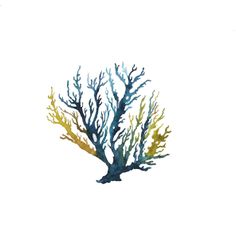 236x236 Lichen, Seaweed And Marmalade Pot