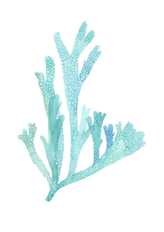 550x778 Turquoise Blue Seaweed Art Print By Sandra Ovono