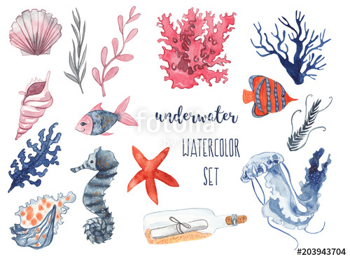 500x370 Underwater Watercolor Set. Seashells, Corals, Sea Star, Fish