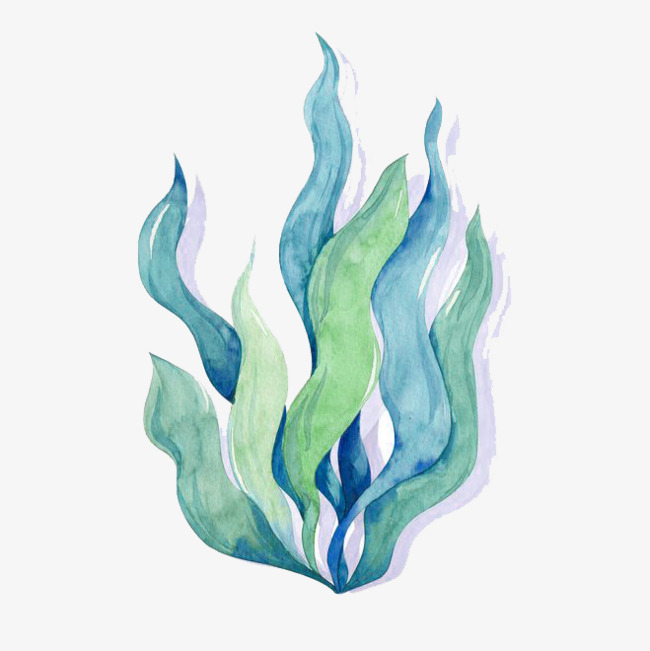 650x651 Watercolor Algae, Watercolor Clipart, Seaweed, Green Png Image And