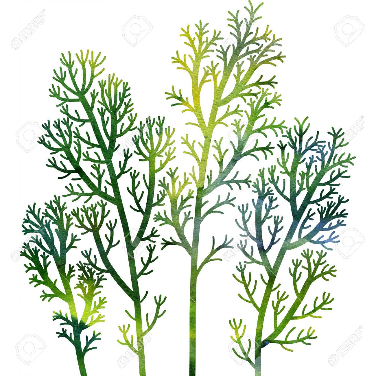 1300x1300 Drawn Seaweed Watercolor 15