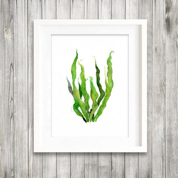 570x570 Green Sea Kelp Seaweed Watercolor Painting Print Green Leaves Etsy