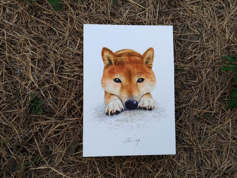 800x600 Shiba Inu Watercolor Painting