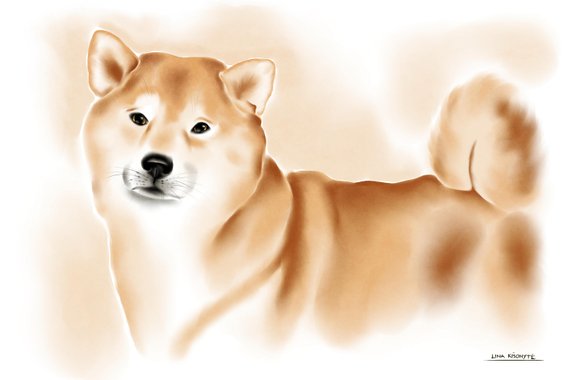 570x380 Shiba Inu Watercolor Print On Canvas Etsy