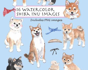 340x270 Shiba Inu Watercolor Etsy