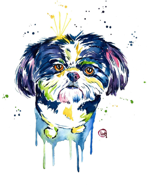 Shih Tzu Watercolor at GetDrawings | Free download