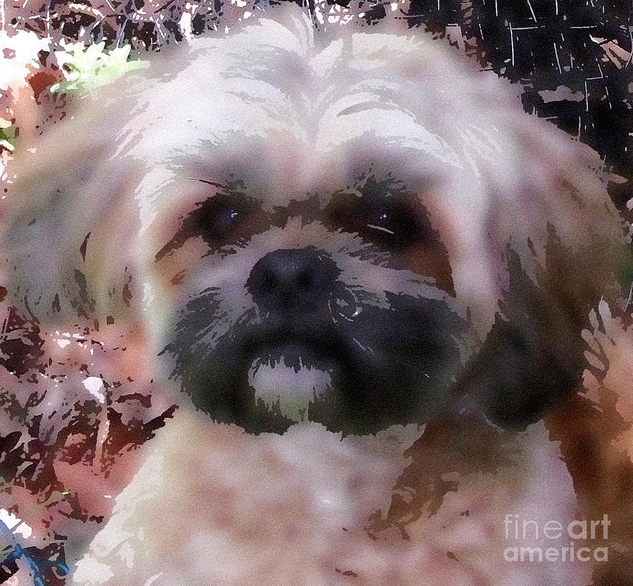 900x833 Shih Tzu Watercolor Digital Art By Gail Matthews