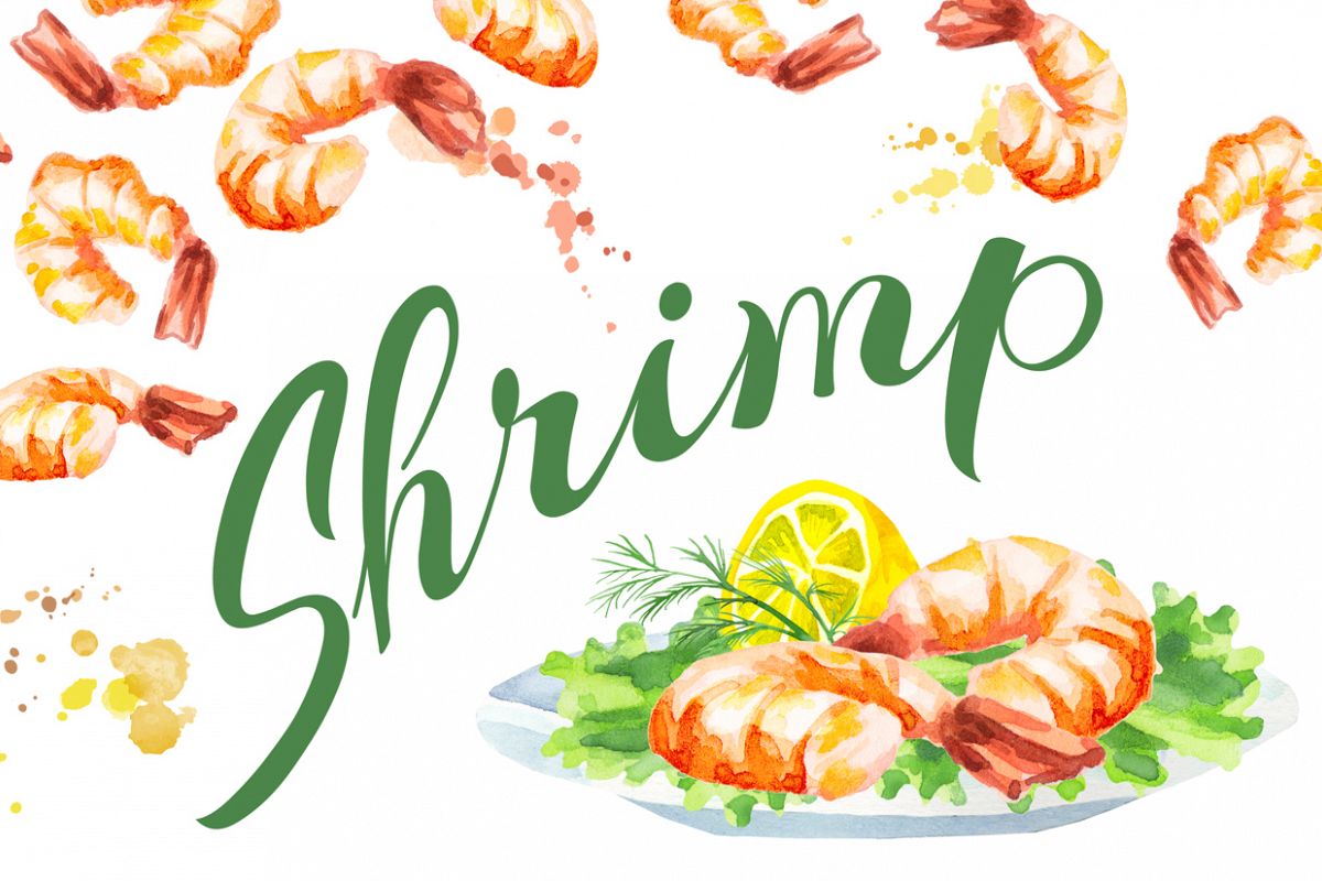1200x800 Shrimp Bundle. Watercolor