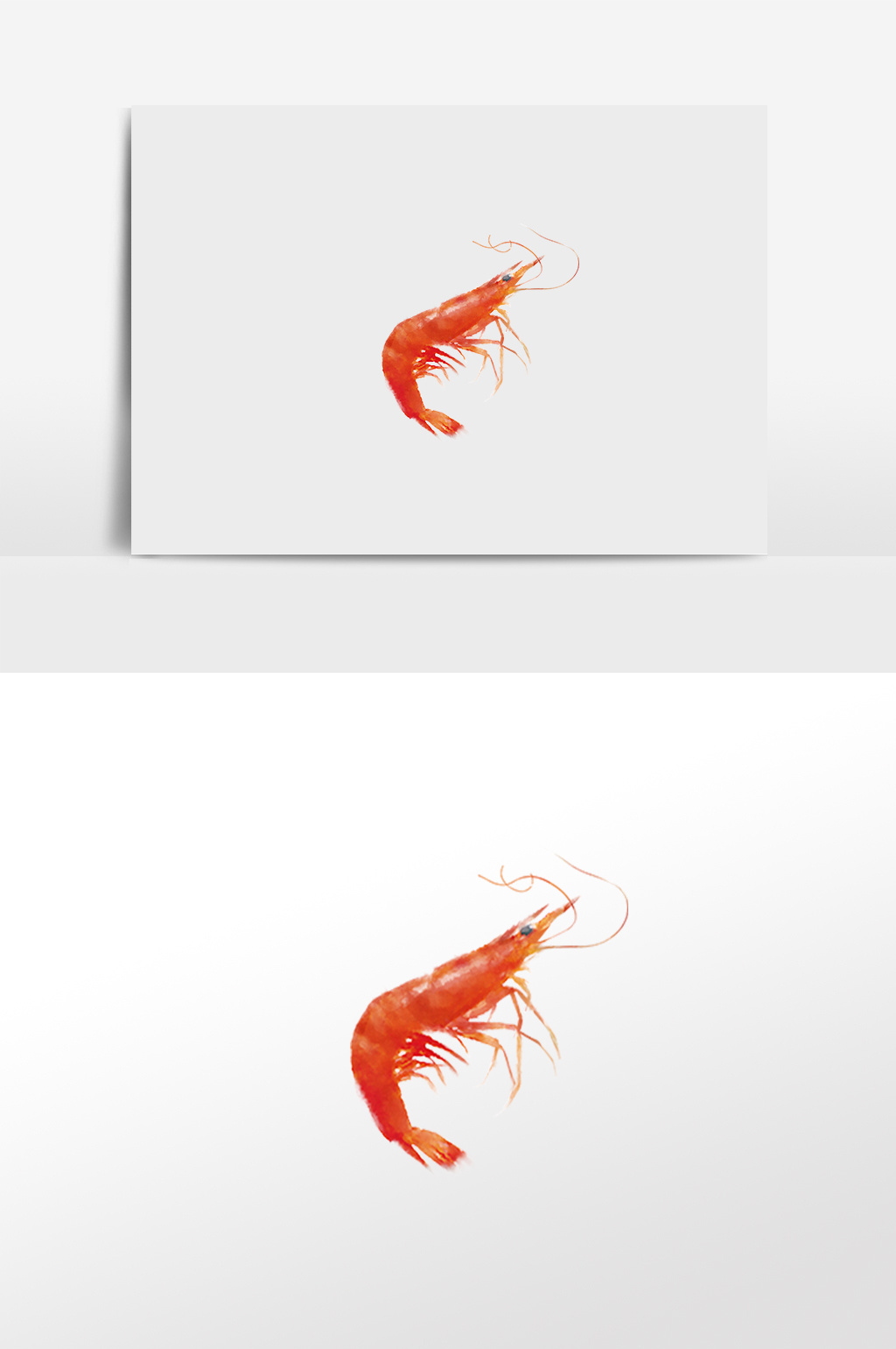 1024x1540 Watercolor Hand Drawn Seafood Elements Watercolor Shrimp Free