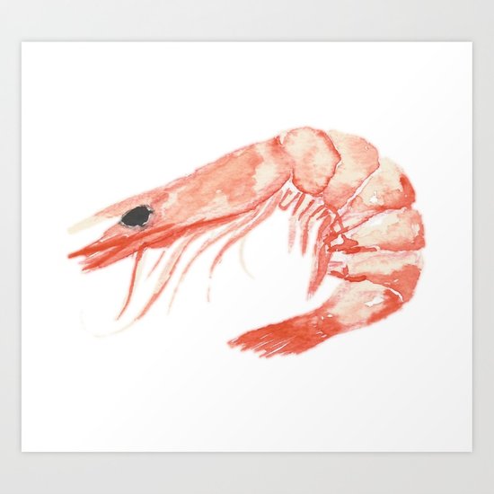 550x550 Watercolor Shrimp Art Print By Raghda S M Society6