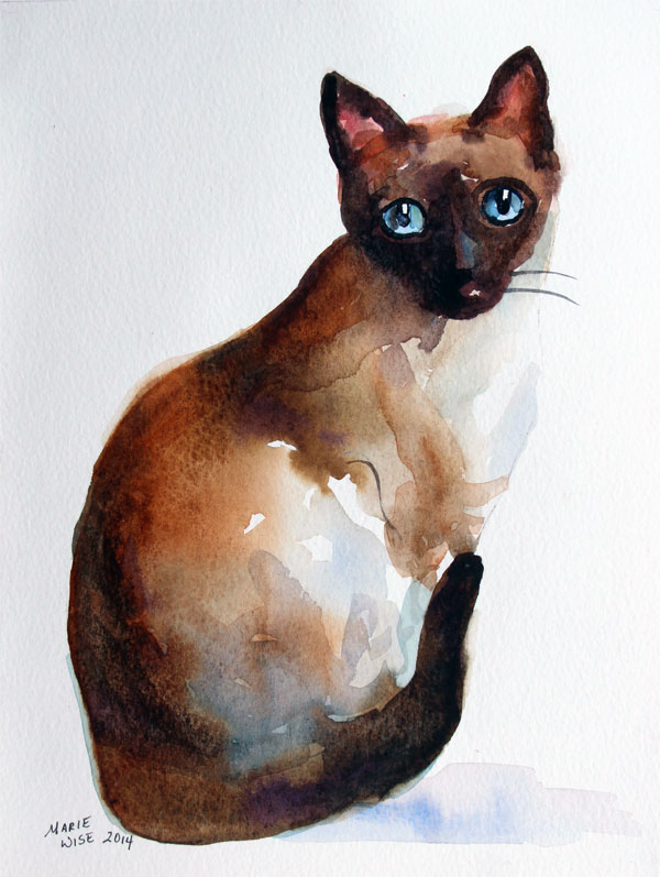 600x797 Siamese Cat
