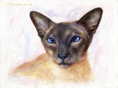 375x280 Siamese Cat Original Watercolor Painting Painting By Alex Vald