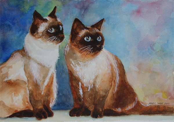 600x420 Siamese Cat Studies 1 Thru 5