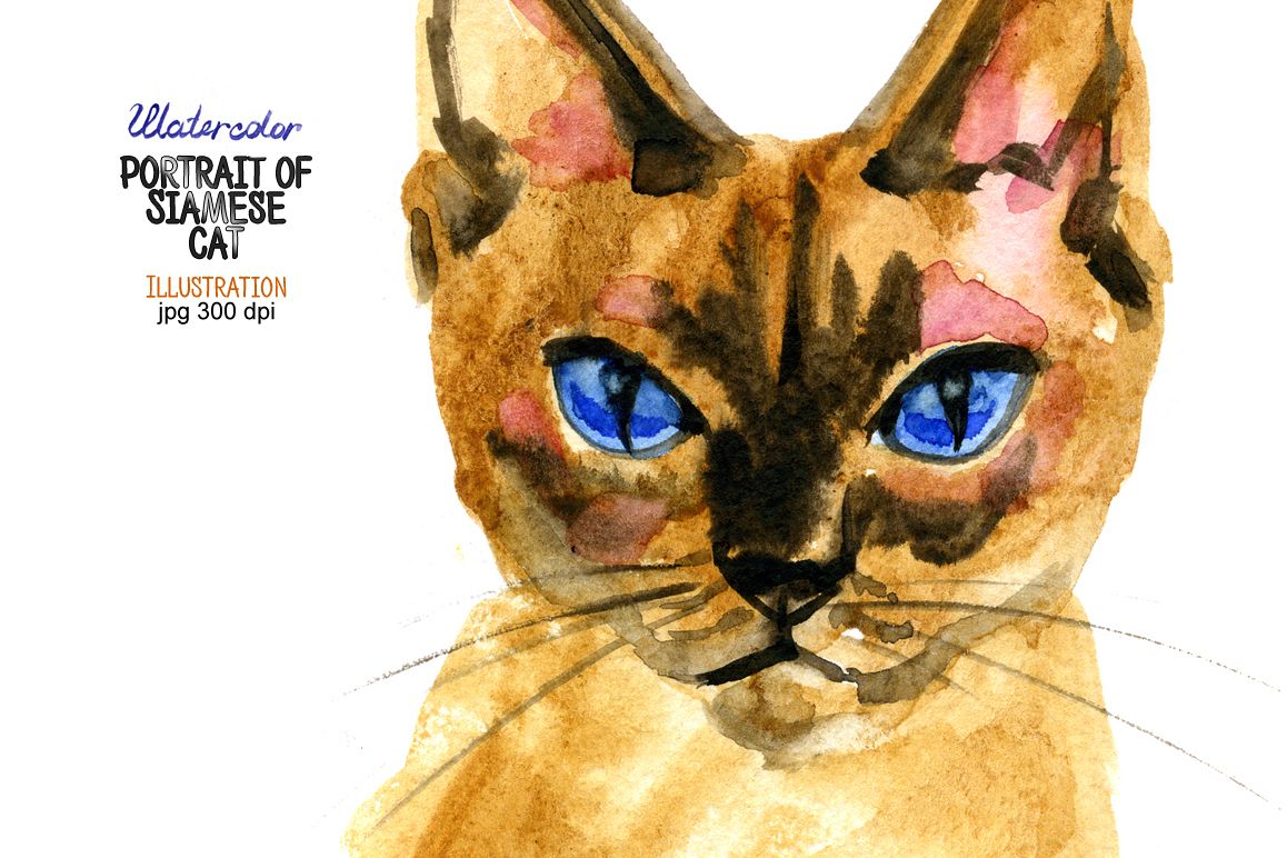1158x772 Watercolor Portrait Of Siamese Cat By N Design Bundles