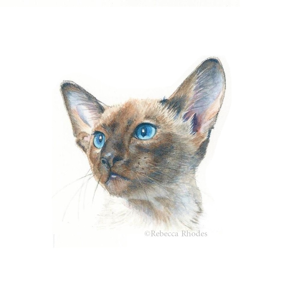 996x1000 World Watercolor Month 25 We Are Siamese