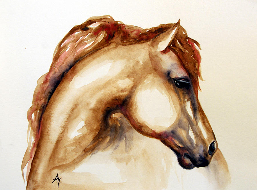 900x664 Horse Head Paintings Watercolor Canvas 97366