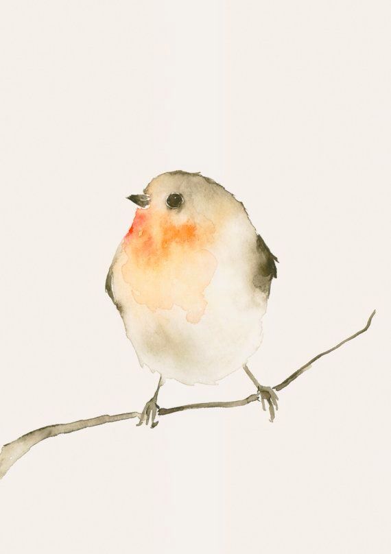 570x808 Watercolor Watercolors Watercolor, Bird And Paintings