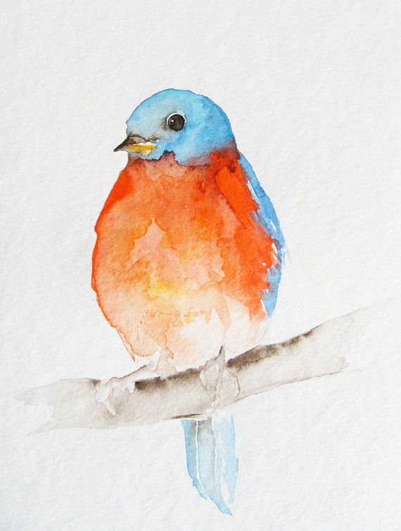 570x755 Watercolor Diy Art Watercolor, Blue Bird And Bird