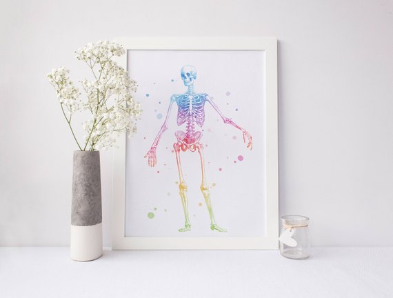 570x432 Skeleton Anatomy Print Watercolor Anatomy Print Skeleton Etsy