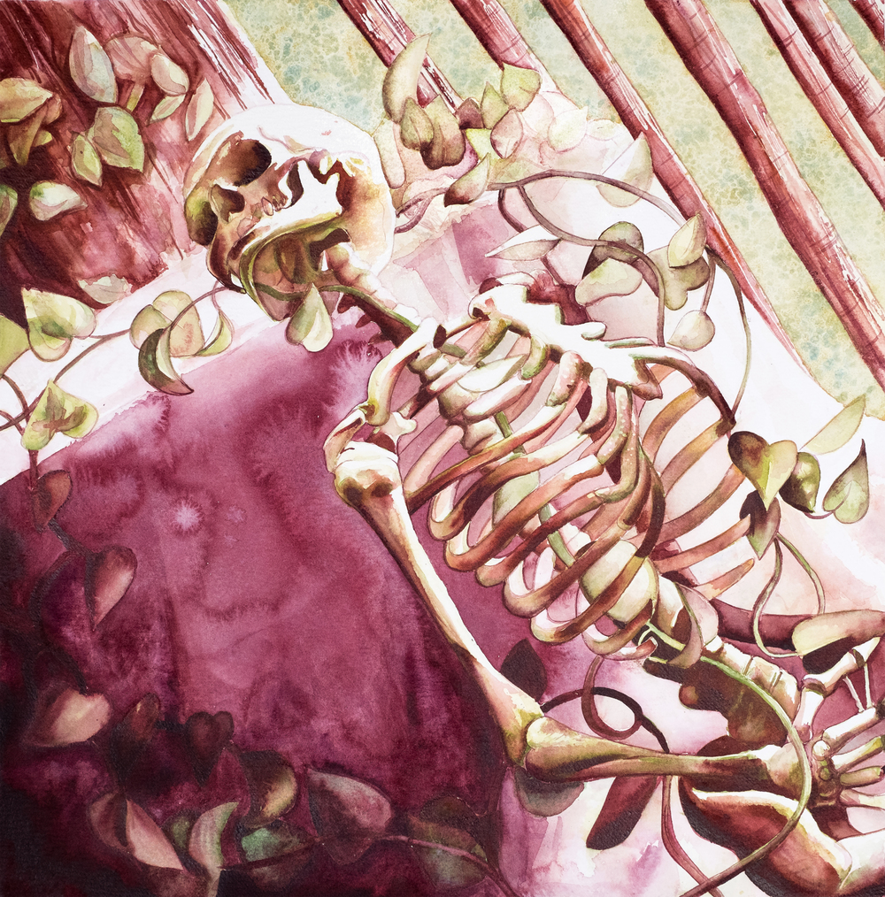 1000x1014 Watercolor Skeleton Monika Hedman