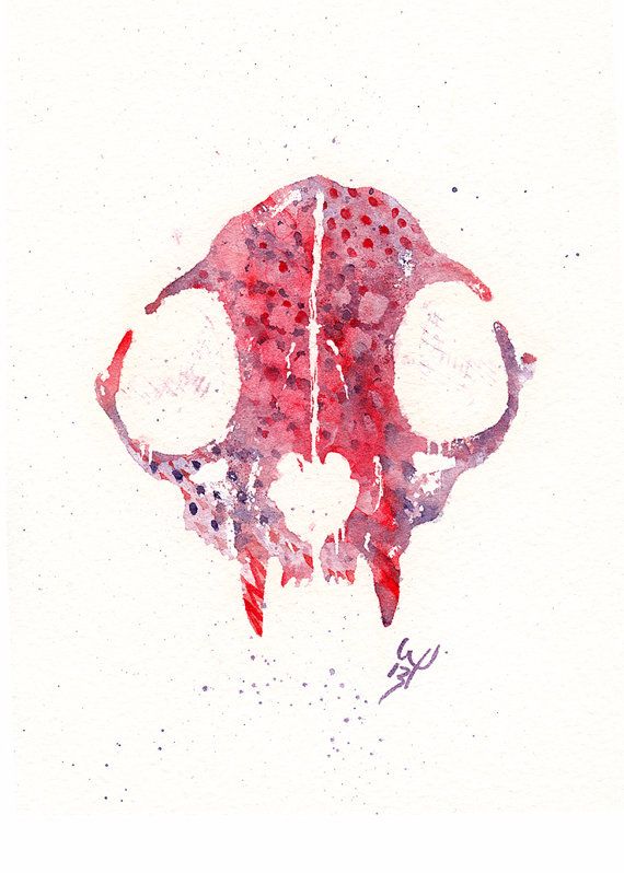 570x798 Cat Skull Watercolor Painting Wanderpus Art Cat