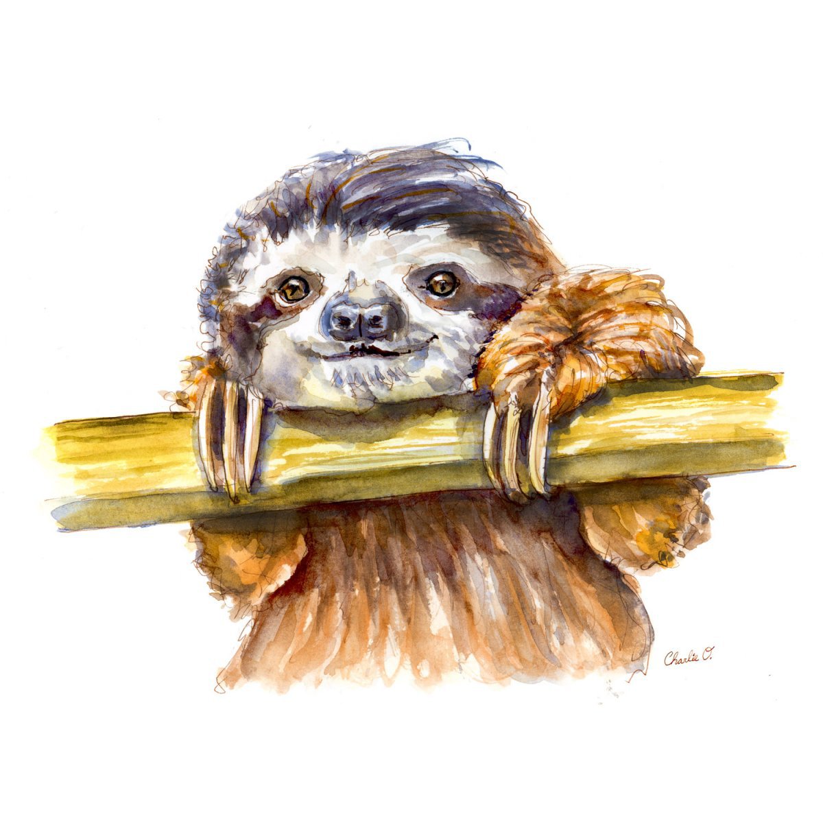 1200x1200 ~ Forest Animals Sloth Watercolor Print