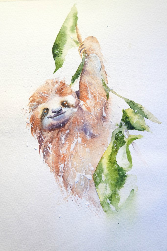 683x1024 Happy Sloth Watercolours By Rachel