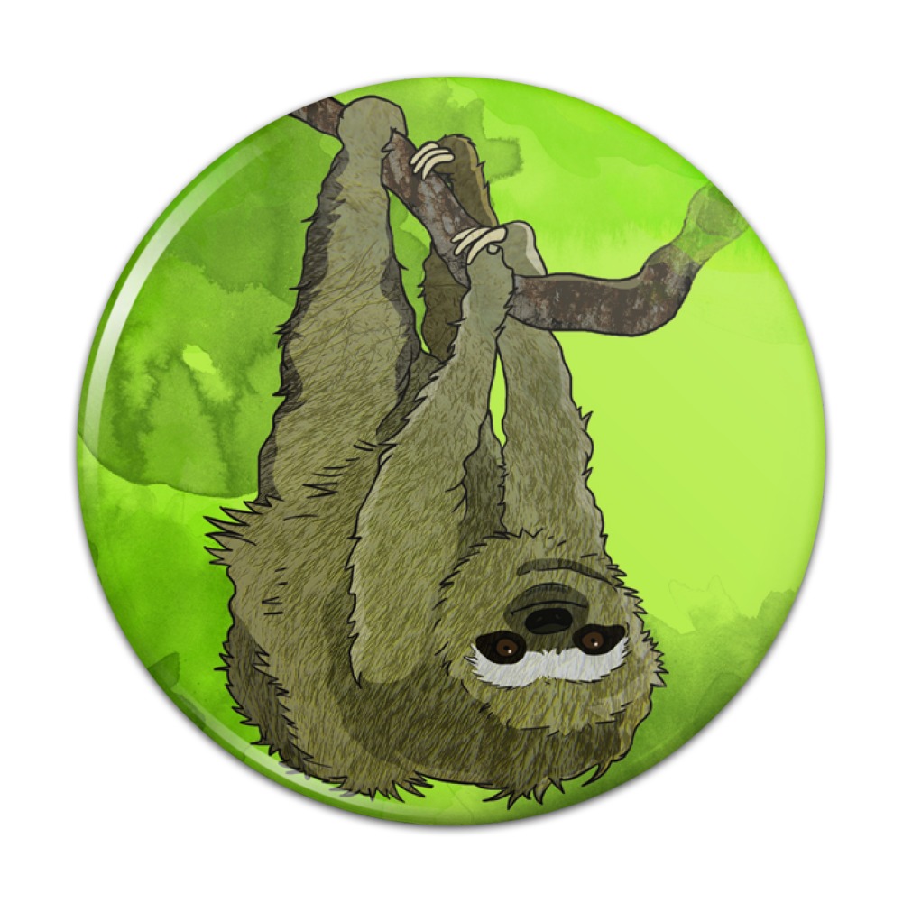 1001x1001 Sloth Watercolor Compact Pocket Purse Hand Cosmetic Makeup Mirror