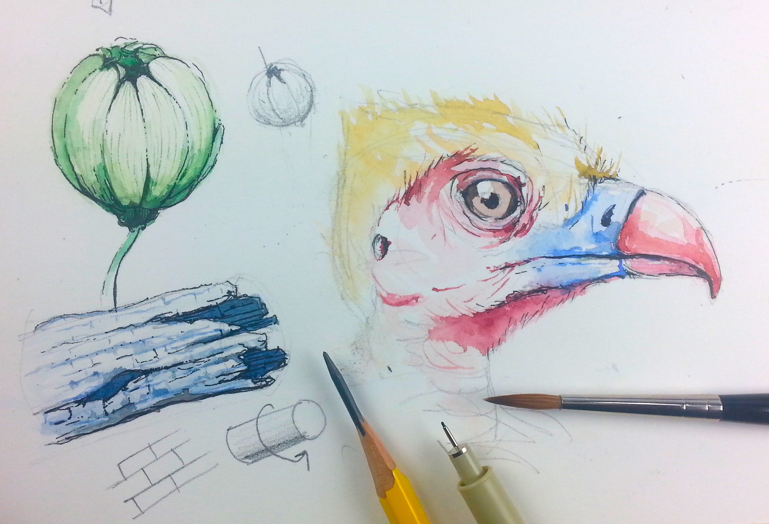 2582x1759 Beginner Watercolor Exercises How To Paint Small Details