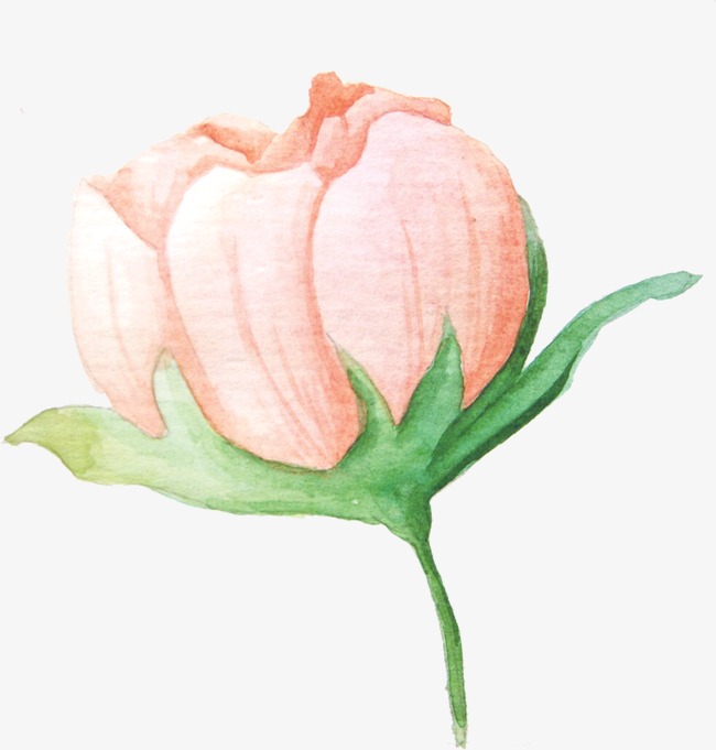 650x681 Watercolor Flowers, Watercolor Clipart, Small Fresh, Beautiful Png